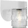 Progress Lighting Polycarbonate Outdoor 1-Light Clear Lexan Traditional Outdoor Wall Light Textured Black(White)