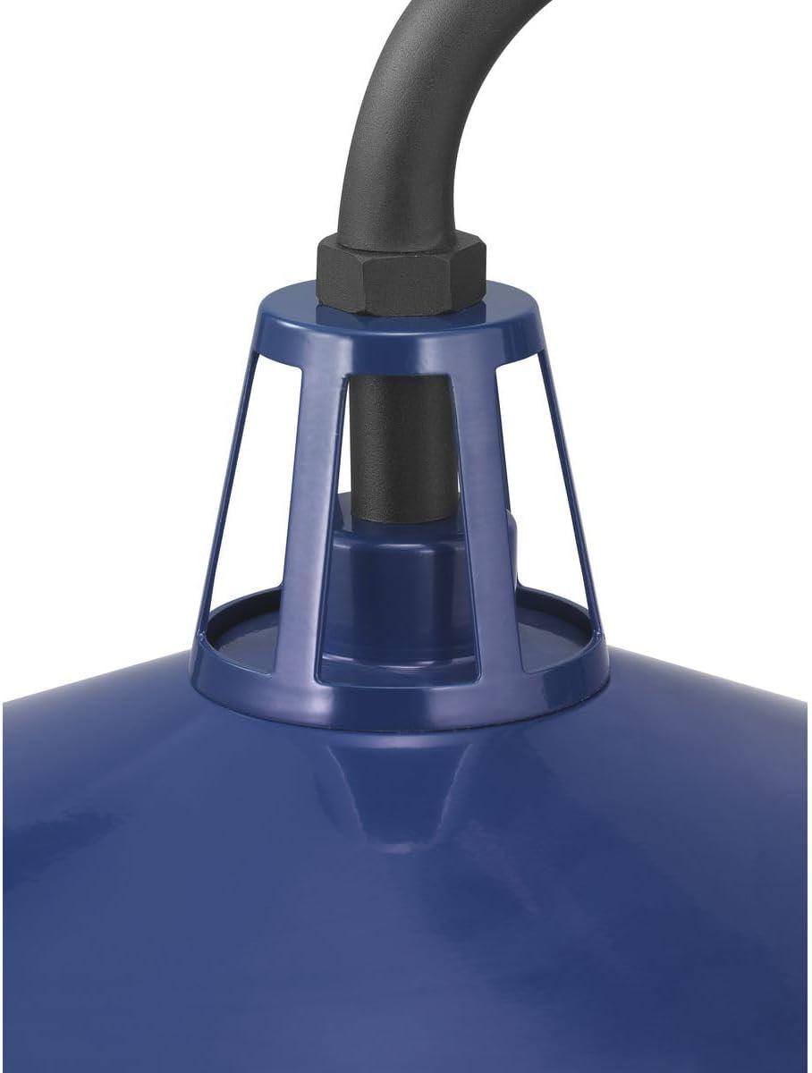 image:imageProgress Lighting Cedar Springs Collection 1Light Farmhouse Outdoor ExtraLarge Wall Lantern Light PistachioBlue