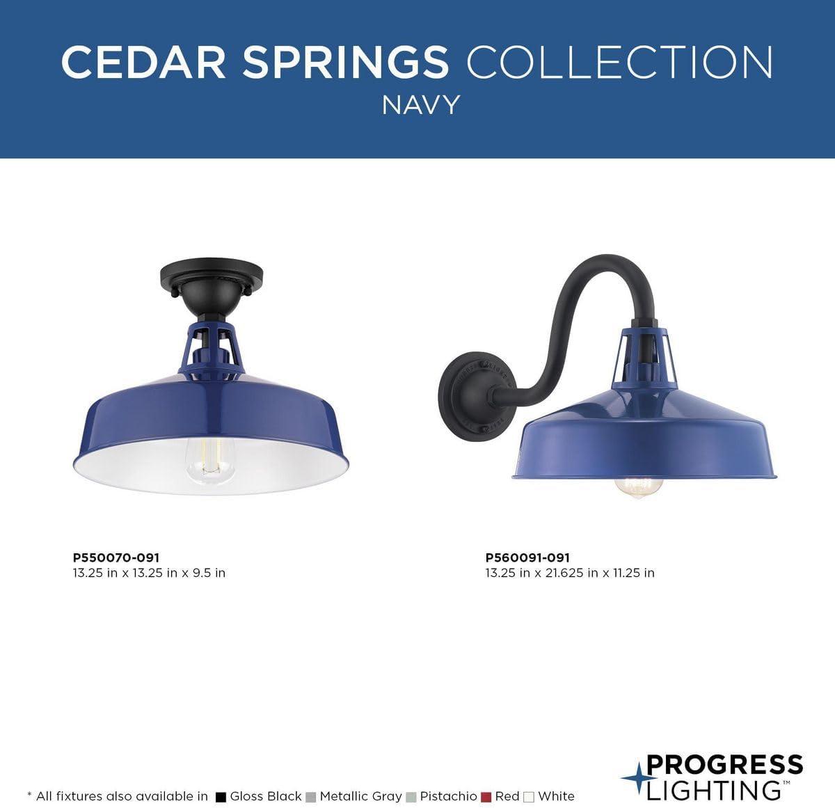 image:imageProgress Lighting Cedar Springs Collection 1Light Farmhouse Outdoor ExtraLarge Wall Lantern Light PistachioBlue