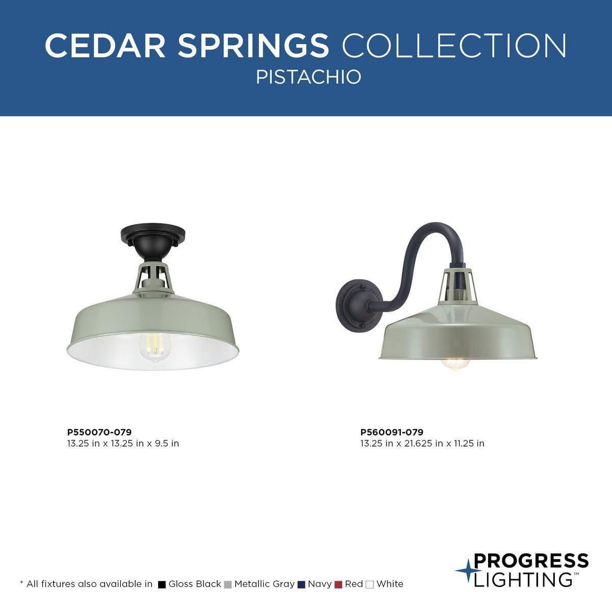 image:imageProgress Lighting Cedar Springs Collection 1Light Farmhouse Outdoor ExtraLarge Wall Lantern Light PistachioGreen