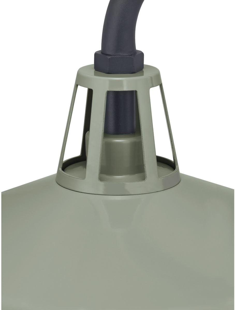 image:imageProgress Lighting Cedar Springs Collection 1Light Farmhouse Outdoor ExtraLarge Wall Lantern Light PistachioGreen