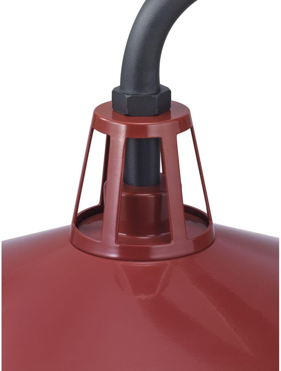 image:imageProgress Lighting Cedar Springs Collection 1Light Farmhouse Outdoor ExtraLarge Wall Lantern Light PistachioRed