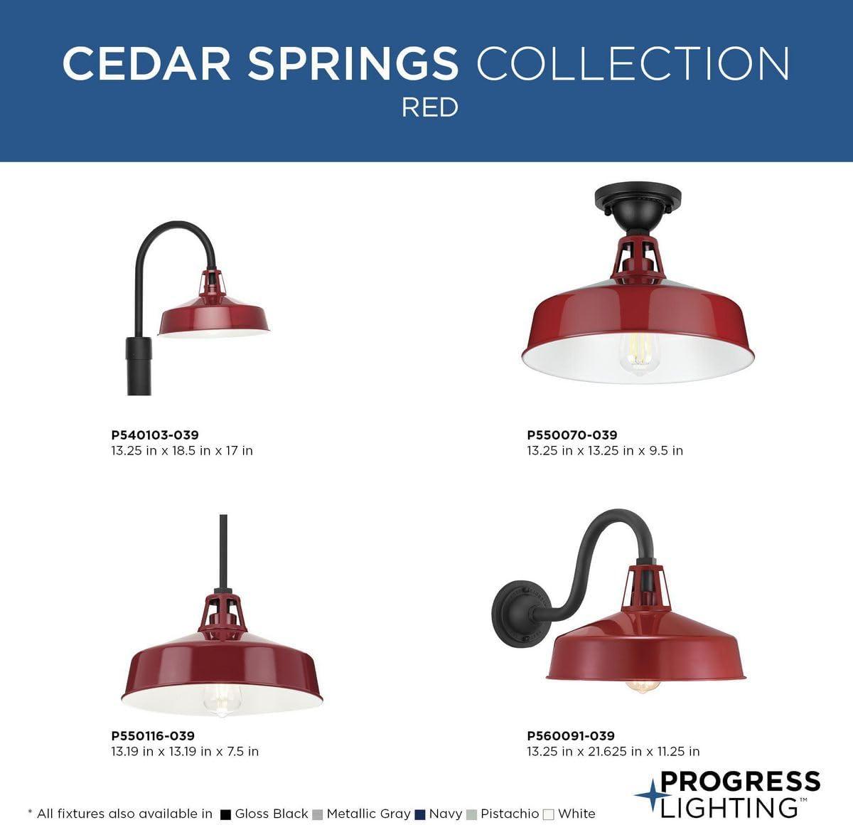 image:imageProgress Lighting Cedar Springs Collection 1Light Farmhouse Outdoor ExtraLarge Wall Lantern Light PistachioRed