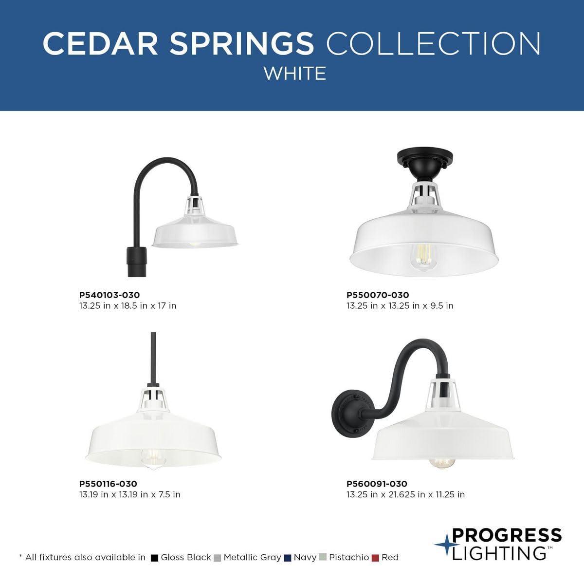 image:imageProgress Lighting Cedar Springs Collection 1Light Farmhouse Outdoor ExtraLarge Wall Lantern Light PistachioWhite