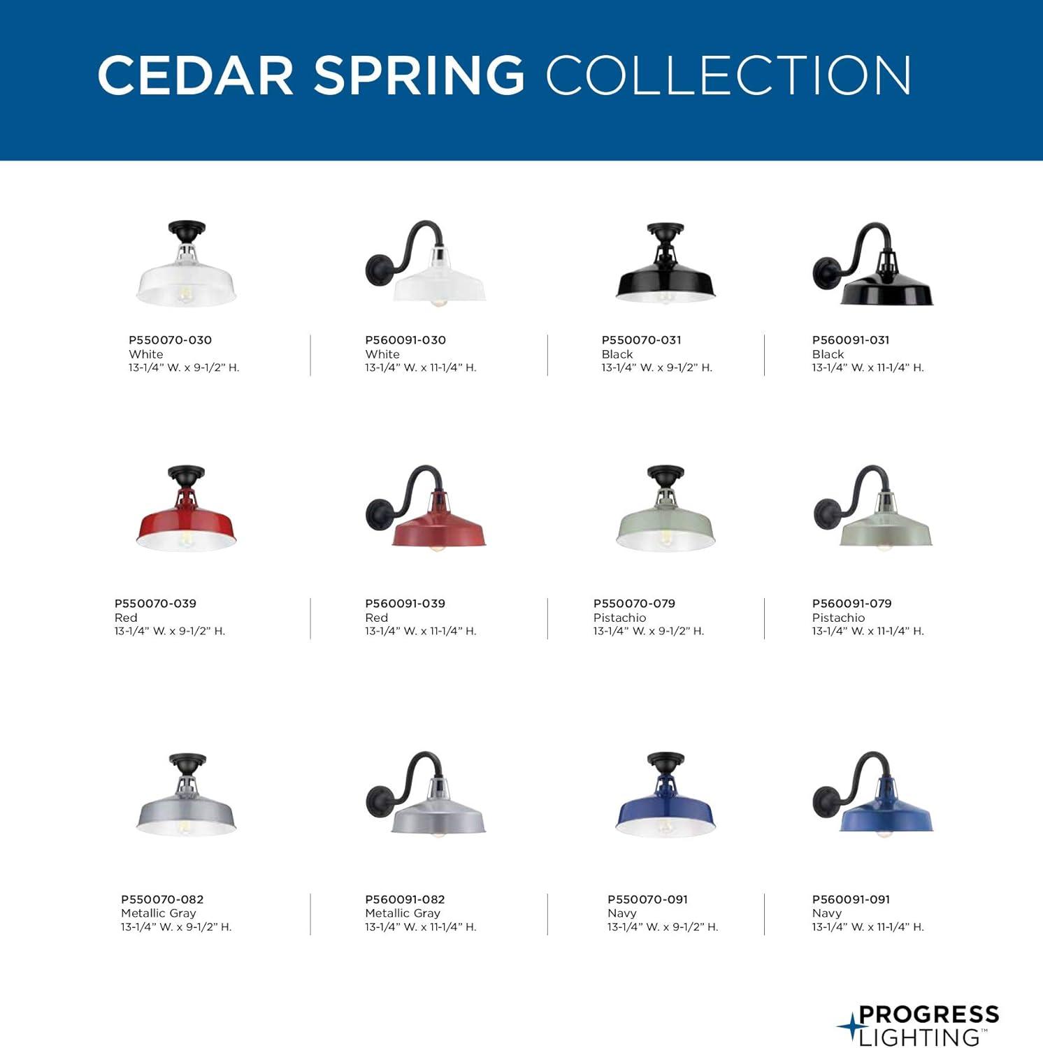 image:imageProgress Lighting Cedar Springs Collection 1Light Farmhouse Outdoor ExtraLarge Wall Lantern Light PistachioWhite
