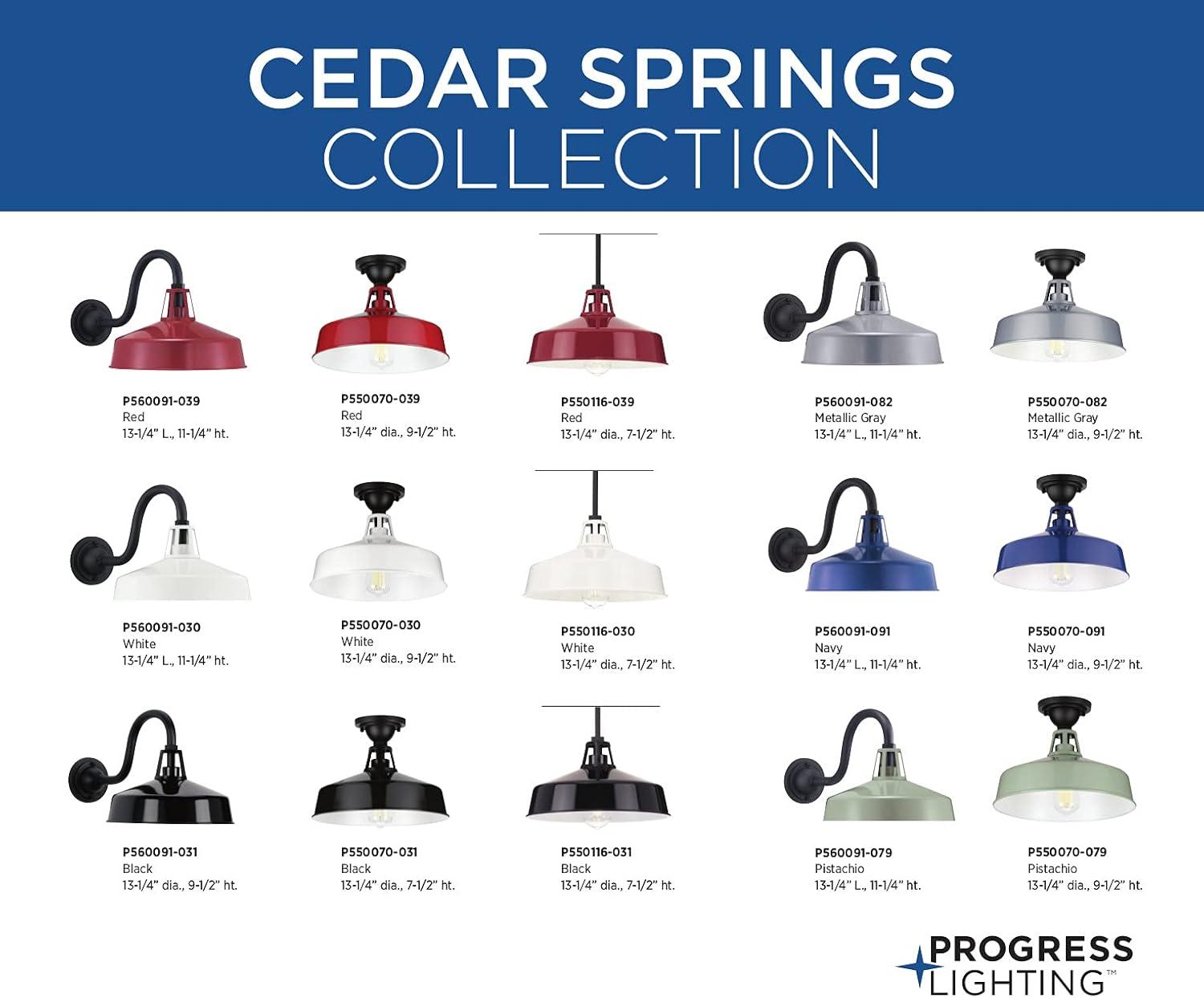image:imageProgress Lighting Cedar Springs Collection 1Light Farmhouse Outdoor ExtraLarge Wall Lantern Light PistachioWhite