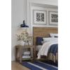 Progress Lighting Cedar Springs Collection 1-Light Farmhouse Outdoor Extra-Large Wall Lantern Light Pistachio(Blue)