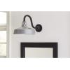 Progress Lighting Cedar Springs Collection 1-Light Farmhouse Outdoor Extra-Large Wall Lantern Light Pistachio(Gray)