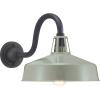 Progress Lighting Cedar Springs Collection 1-Light Farmhouse Outdoor Extra-Large Wall Lantern Light Pistachio(Green)