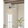 Progress Lighting Cedar Springs Collection 1-Light Farmhouse Outdoor Extra-Large Wall Lantern Light Pistachio(White)