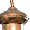 Progress Lighting P5723-71 Brookside Outdoor, 12-Inch Width x 12-5/16-Inch Height, Black(Copper)