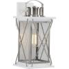 Progress Lighting Barlowe Collection 1-Light Clear Seeded Glass Farmhouse Outdoor Medium Wall Lantern Light Stainless Steel