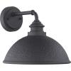 Progress Lighting Englewood Collection 1-Light Farmhouse Outdoor Medium Wall Lantern Light Textured Black, 10.38×12.00×12.00(Black)