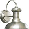 Progress Lighting P5723-71 Brookside Outdoor, 12-Inch Width x 12-5/16-Inch Height, Black(Antique Nickel)