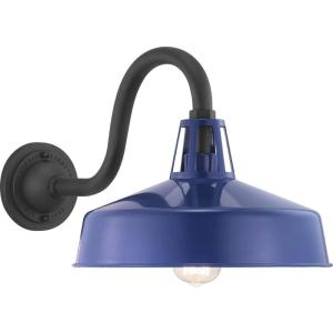 Progress Lighting Cedar Springs Collection 1-Light Farmhouse Outdoor Extra-Large Wall Lantern Light Pistachio(Blue)