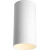 Progress Lighting 6-Inch Cylinder Outdoor Ceiling Light, 1-Light Modern Flush Mount Ceiling Light Fixture, Interior and Exterior Lighting for Home or Porch, Aluminum Construction, Bronze (P5741-20)(White)