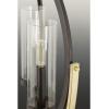 Progress Lighting Evoke Collection 6-Light Clear Glass Luxe Chandelier Light Polished Nickel(Bronze)