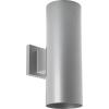 Progress Lighting 5-Inch Cylinder Outdoor LED Wall Sconce, 2-Light Modern Wall Mount LED Up and Down Lights, Interior and Exterior Lighting for Home or Porch, Aluminum, Metallic Gray (P5675-82/30K)