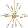 Progress Lighting Ion Collection 16-Light Mid-Century Modern Chandelier Light Polished Nickel(Brushed Bronze)
