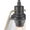 Progress Lighting Range Collection 1-Light Clear Seeded Glass Coastal Pendant Light Antique Bronze