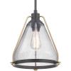 Progress Lighting Range Collection 1-Light Clear Seeded Glass Coastal Pendant Light Antique Bronze