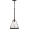 Progress Lighting Range Collection 1-Light Clear Seeded Glass Coastal Pendant Light Antique Bronze
