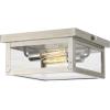 Progress Lighting Union Square Collection 2-Light Clear Flat Glass Farmhouse Outdoor Close-to-Ceiling Light Stainless Steel