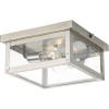 Progress Lighting Union Square Collection 2-Light Clear Flat Glass Farmhouse Outdoor Close-to-Ceiling Light Stainless Steel