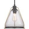 Progress Lighting Range Collection 1-Light Clear Seeded Glass Coastal Pendant Light Antique Bronze