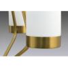 Progress Lighting Elevate Collection 5-Light Etched White Glass Mid-Century Modern Chandelier Light Brushed Bronze(Brushed Bronze)