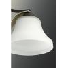 Progress Lighting Noma Collection 9-Light Etched White Glass Luxe Chandelier Light Antique Bronze(Antique Bronze)