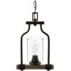 Progress Lighting Barnes Mill Collection 1-Light Clear Seeded Glass Farmhouse Mini-Pendant Light Antique Bronze