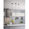 Progress Lighting Conestee Collection 6-Light Graphite Farmhouse Pendant Light(Nickel)