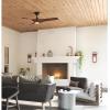 Progress Lighting Ryne Collection 52-Inch 3-Blade Woodgrain LED DC Motor Transitional Indoor/Outdoor Ceiling Fan, Brown(Brown)