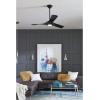 Progress Lighting Ryne Collection 52-Inch 3-Blade Woodgrain LED DC Motor Transitional Indoor/Outdoor Ceiling Fan, Brown(Matte Black)