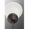 Progress Lighting Classic Collection 5-Light Etched Glass Traditional Chandelier Light Brushed Nickel(Antique Bronze)