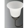 Progress Lighting Classic Collection 5-Light Etched Glass Traditional Chandelier Light Brushed Nickel(Antique Bronze)