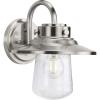 Tremont Collection 1-Light Clear Seeded Glass Stainless Steel Industrial Outdoor Medium Wall Lantern Light(Nickel)