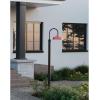 Progress Lighting Cedar Springs Collection One-Light Gloss Black Metal Shade Farmhouse Outdoor Post Lantern (P540103-031)(Red)