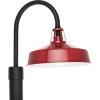 Progress Lighting Cedar Springs Collection One-Light Gloss Black Metal Shade Farmhouse Outdoor Post Lantern (P540103-031)(Red)