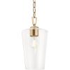 Progress Lighting Celino Collection One-Light Mini-Pendant with Clear Glass Shade