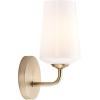 Progress Lighting Celino Collection One-Light Wall Sconce with White Glass Shade