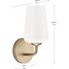 Progress Lighting Celino Collection One-Light Wall Sconce with White Glass Shade