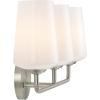 Progress Lighting Celino Collection Three-Light Vanity Light with White Glass Shades