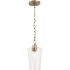 Progress Lighting Celino Collection One-Light Mini-Pendant with Clear Glass Shade