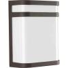 Progress Lighting Valera LED Collection 1-Light Matte White Acrylic Shade Modern Outdoor Medium Wall Lantern Light Brushed Nickel(Bronze)