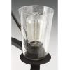 Progress Lighting Debut Collection 6-Light Farmhouse Chandelier Light Graphite(Black)
