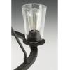 Progress Lighting Debut Collection 6-Light Farmhouse Chandelier Light Graphite(Black)