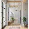 Progress Lighting Astra Collection Eight-Light Chandelier(Brushed Nickel)