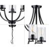 Progress Lighting Lassiter Collection 5-Light Clear Glass Modern Chandelier Light Matte Black 26.00×26.00×26.00(Black)